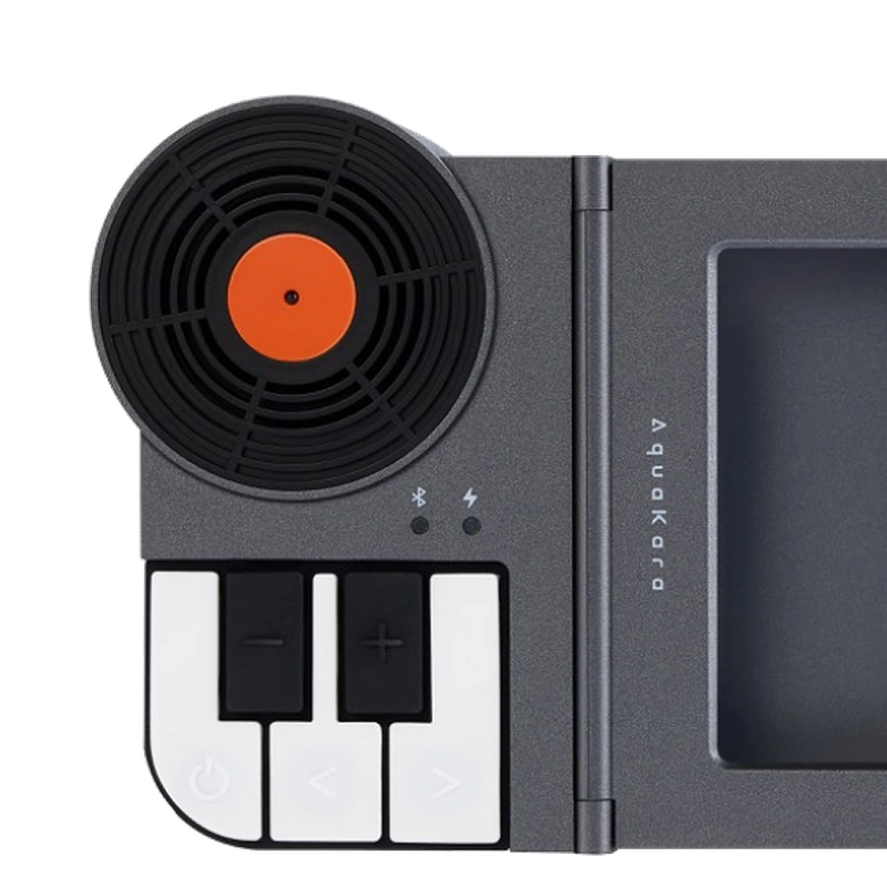Speaker and controls detail